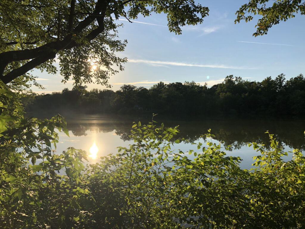 Sun rising over a pond