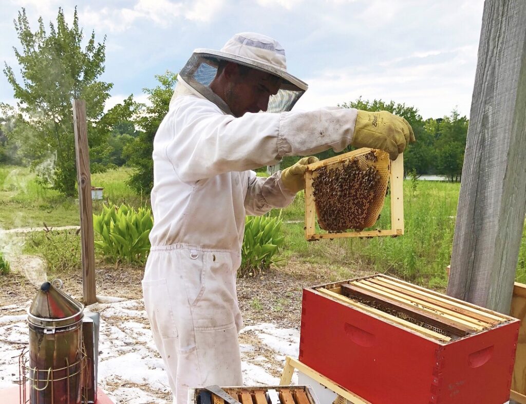 Owner James Rasnake tending to his bees