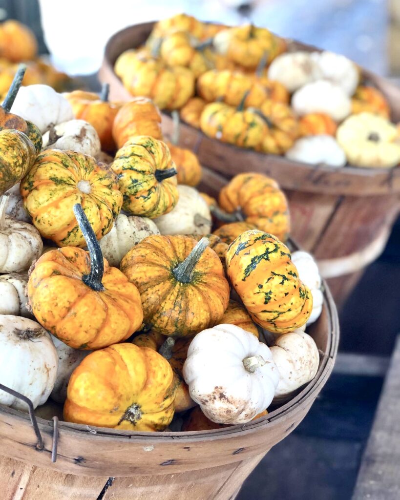 Two buckets full of mini pumpkins. Some are orange with green marks while some are white.