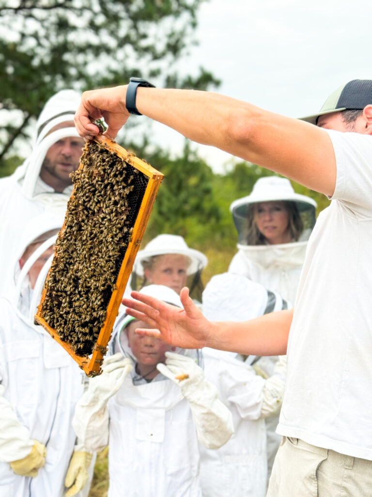 The owner and operator James has a section of the bee hive out, showing his students that are wearing their protective gear. There are many bees on the section and the students are staring intently. 