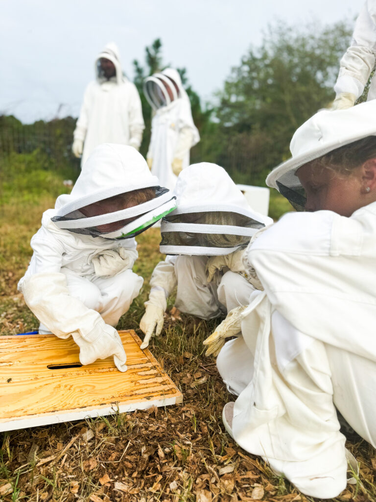 Young students examining the top of a bee hive enclosure. The students are wearing protective gear. The parents of the students can be seen in the background along with some trees.